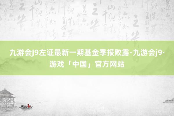 九游会J9左证最新一期基金季报败露-九游会j9·游戏「中国」官方网站