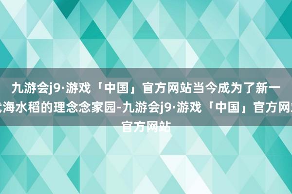 九游会j9·游戏「中国」官方网站当今成为了新一代海水稻的理念念家园-九游会j9·游戏「中国」官方网站