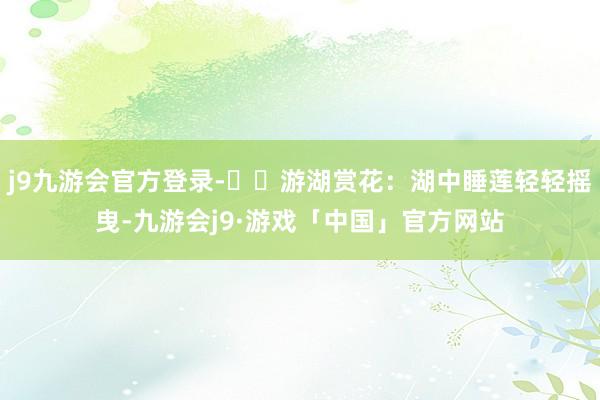 j9九游会官方登录-▪️游湖赏花：湖中睡莲轻轻摇曳-九游会j9·游戏「中国」官方网站