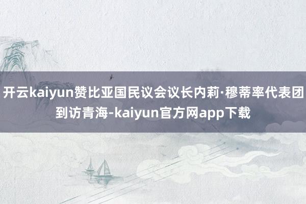 开云kaiyun赞比亚国民议会议长内莉·穆蒂率代表团到访青海-kaiyun官方网app下载