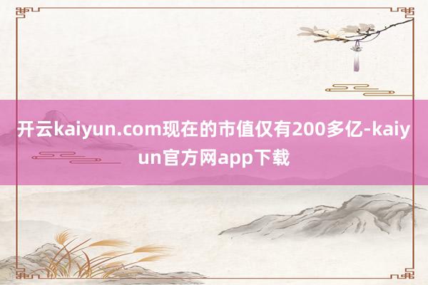 开云kaiyun.com现在的市值仅有200多亿-kaiyun官方网app下载