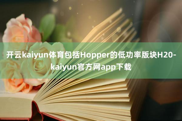 开云kaiyun体育包括Hopper的低功率版块H20-kaiyun官方网app下载