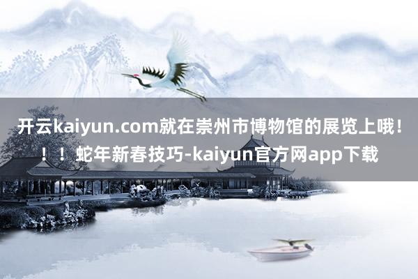 开云kaiyun.com就在崇州市博物馆的展览上哦！！！蛇年新春技巧-kaiyun官方网app下载