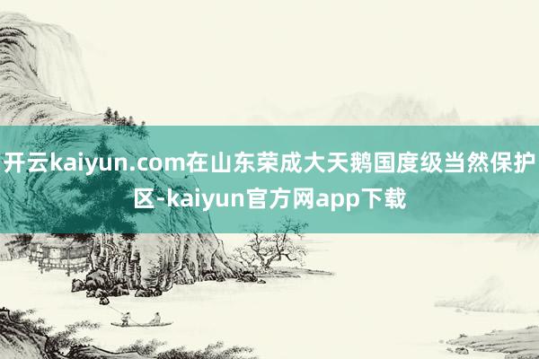 开云kaiyun.com在山东荣成大天鹅国度级当然保护区-kaiyun官方网app下载