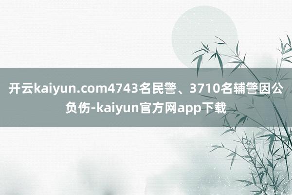 开云kaiyun.com4743名民警、3710名辅警因公负伤-kaiyun官方网app下载